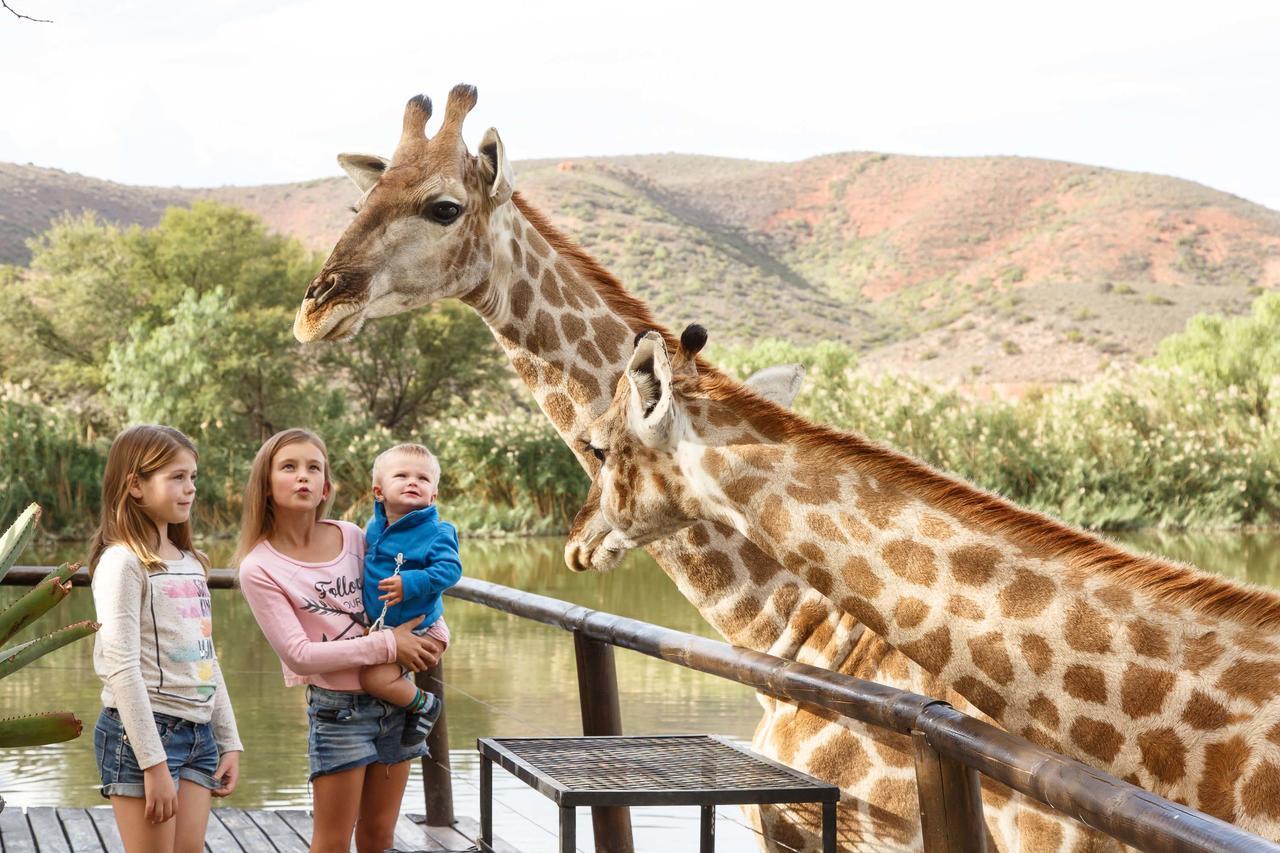 Chandelier Game Lodge Oudtshoorn Εξωτερικό φωτογραφία