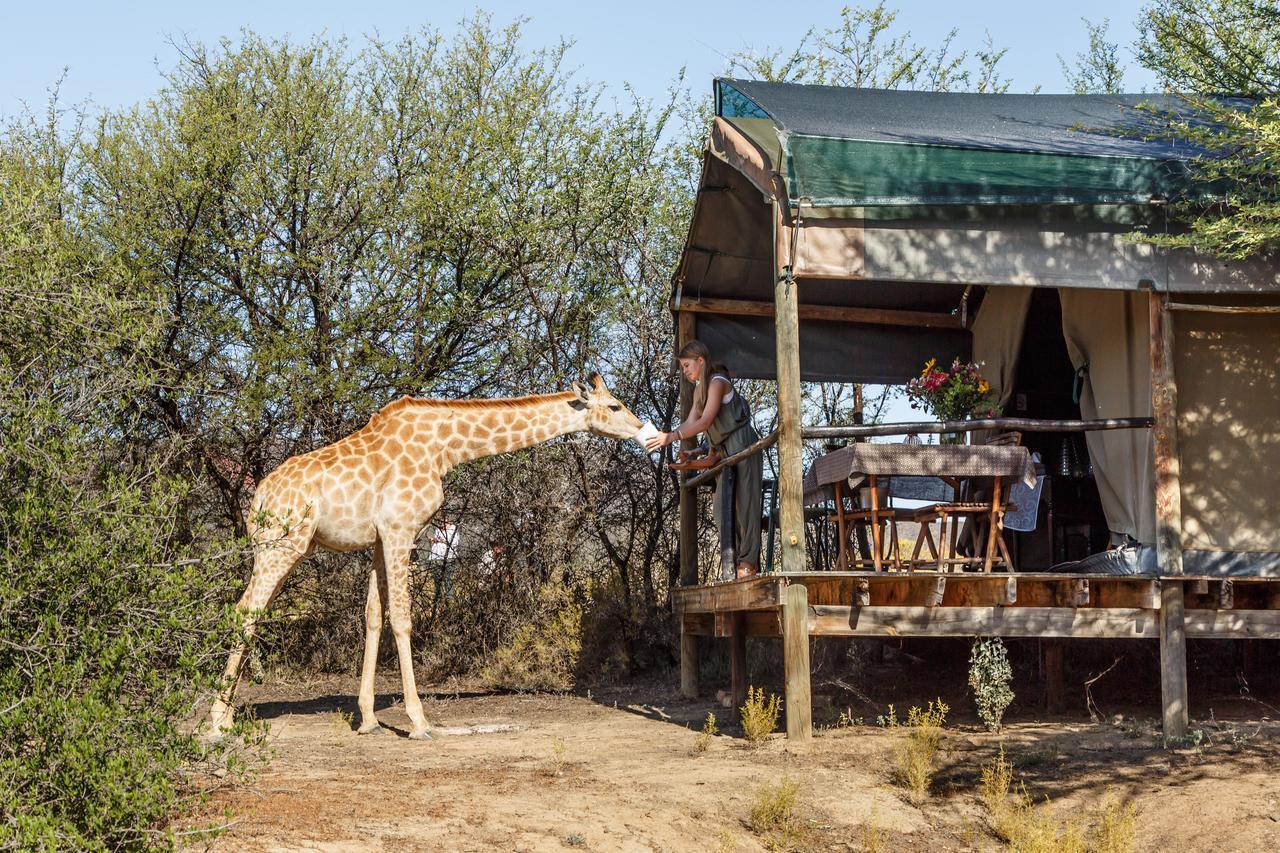 Chandelier Game Lodge Oudtshoorn Εξωτερικό φωτογραφία